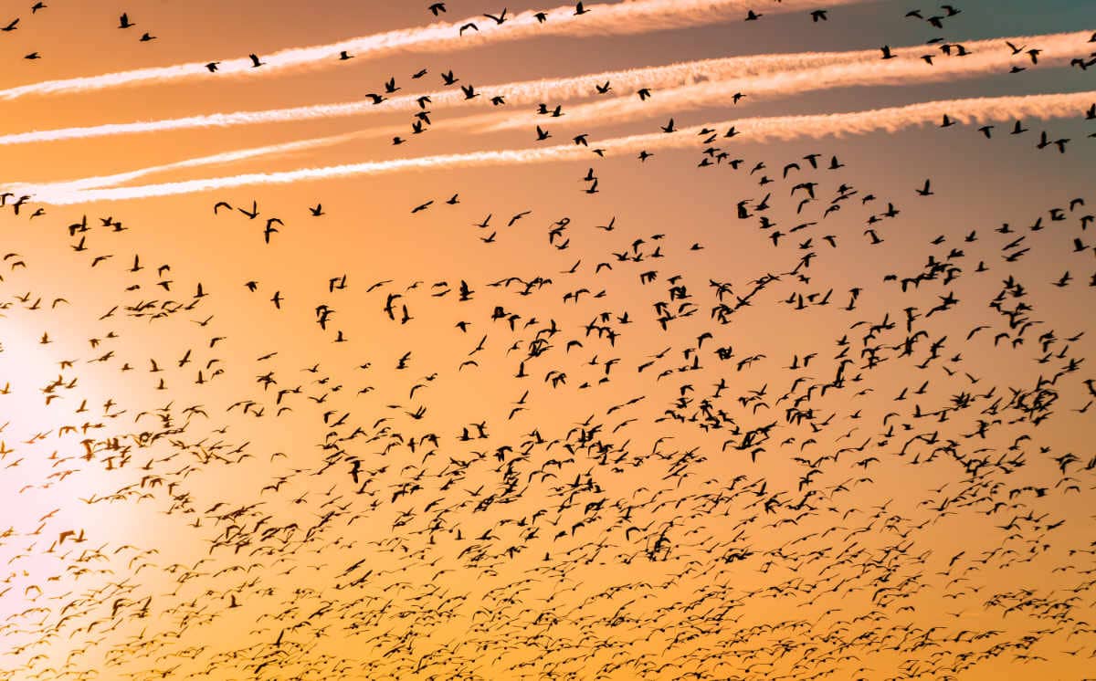 Migrating Production Data in Elixir